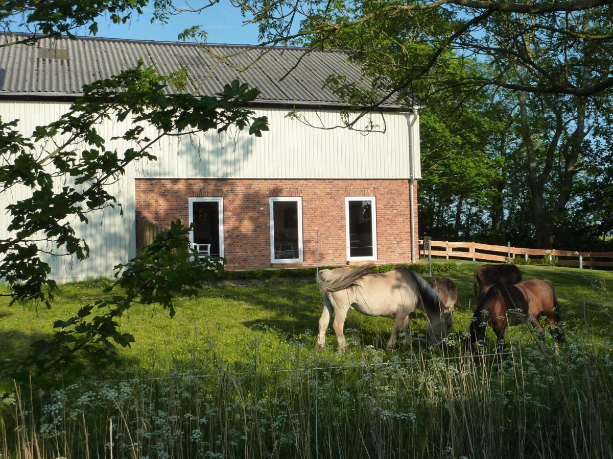 Ferienwohnung Landtraum Klanxbüll Kültér fotó